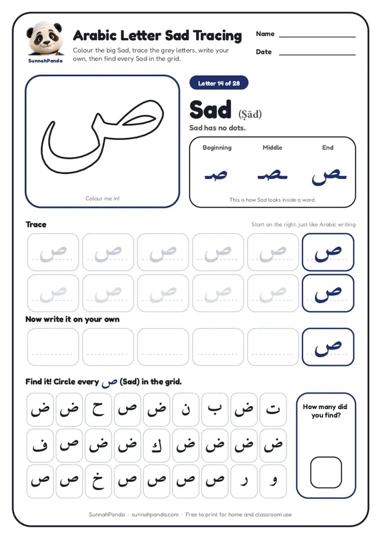 Page one of the Arabic Letter Sad Tracing worksheet