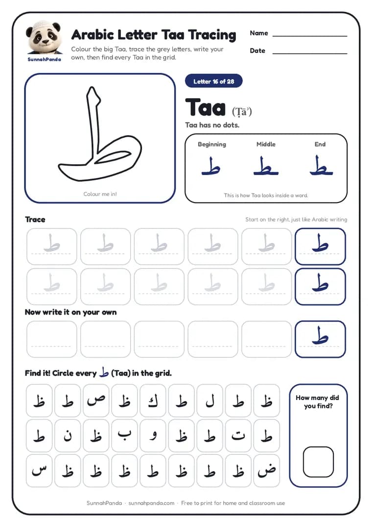 Page one of the Arabic Letter Taa Tracing worksheet