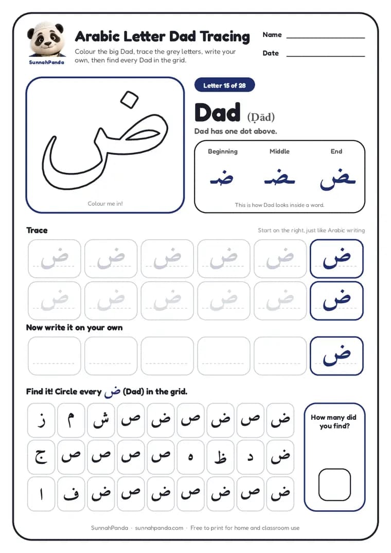 Page one of the Arabic Letter Dad Tracing worksheet